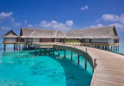 攜程上線近700條出境團(tuán)隊(duì)游產(chǎn)品，熱點(diǎn)目的地分析與行業(yè)展望